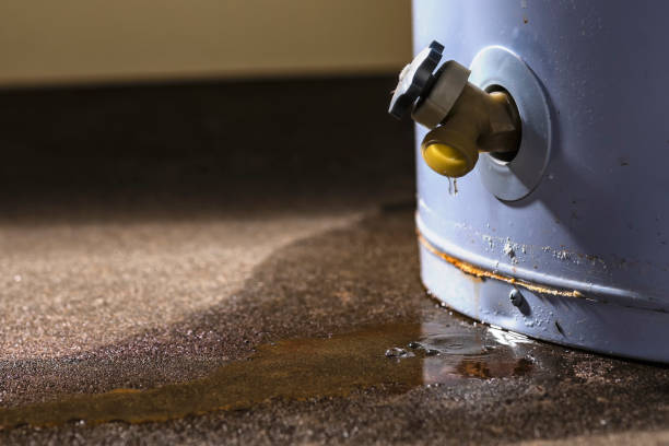 Best 24/7 water damage repair  in Hampton, MD
