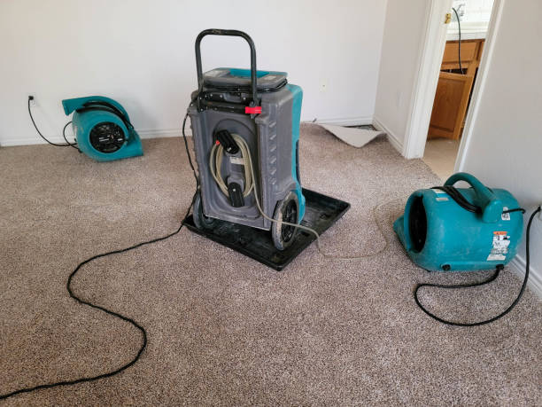 Water damage restoration experts in MD