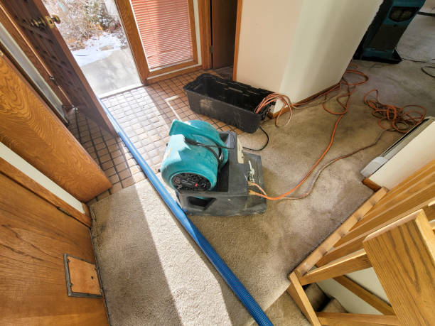 Best Local water damage restoration  in Hampton, MD