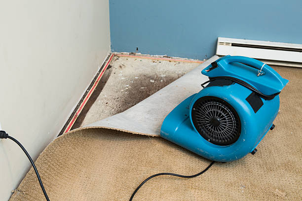 Best 24-hour water damage restoration  in Hampton, MD